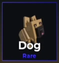 Dog Pet